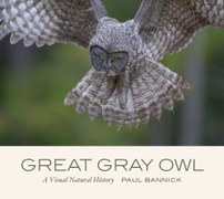 Great Gray Owl: A Visual Natural History