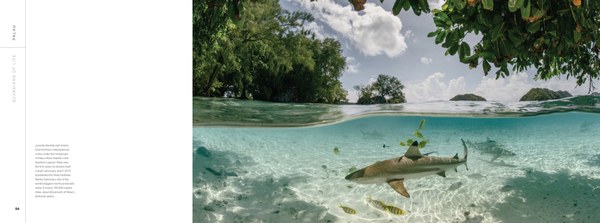 Guardians Palau wildlife spread.jpg