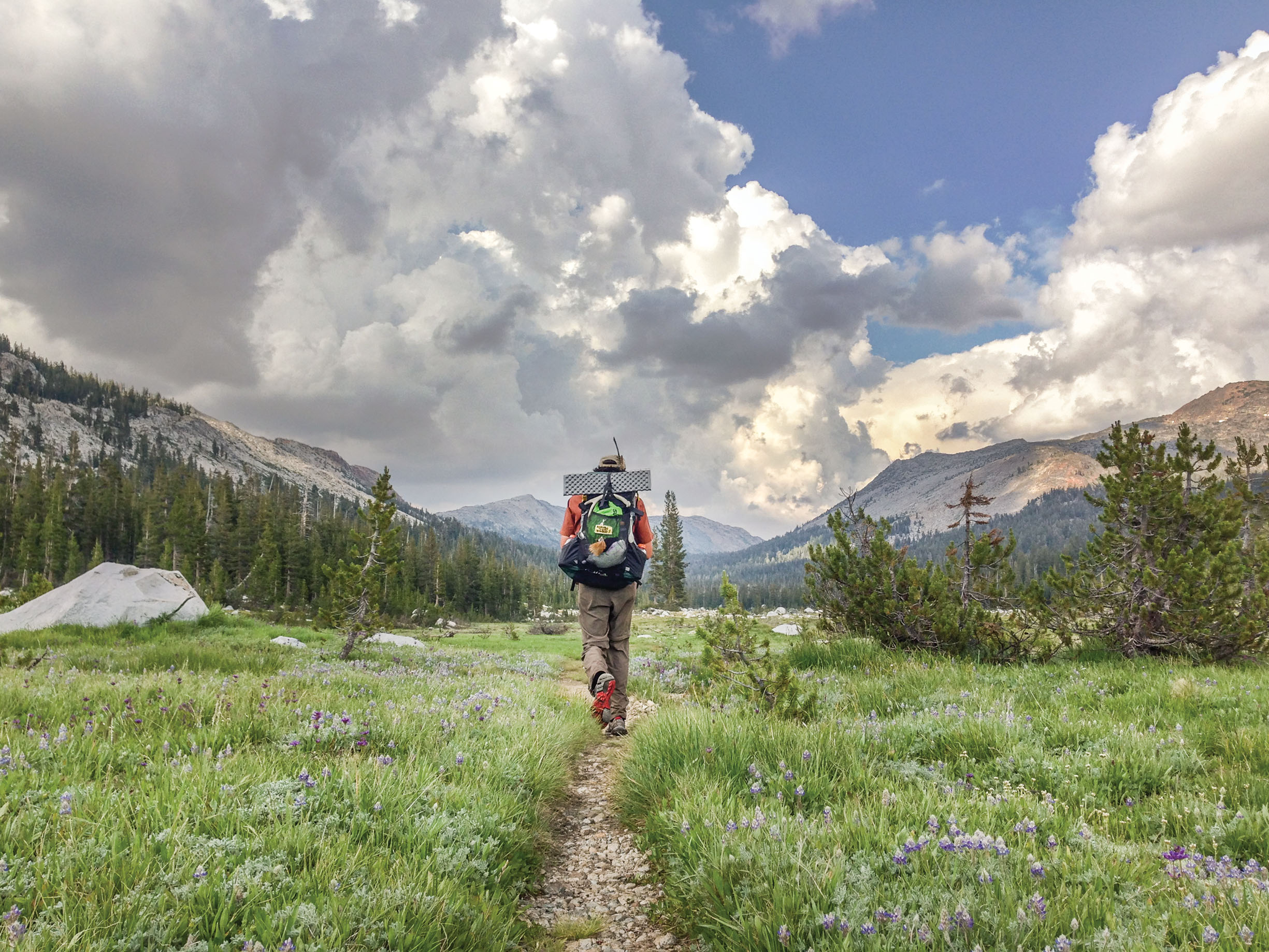 Hiking the PCT NoCal Img