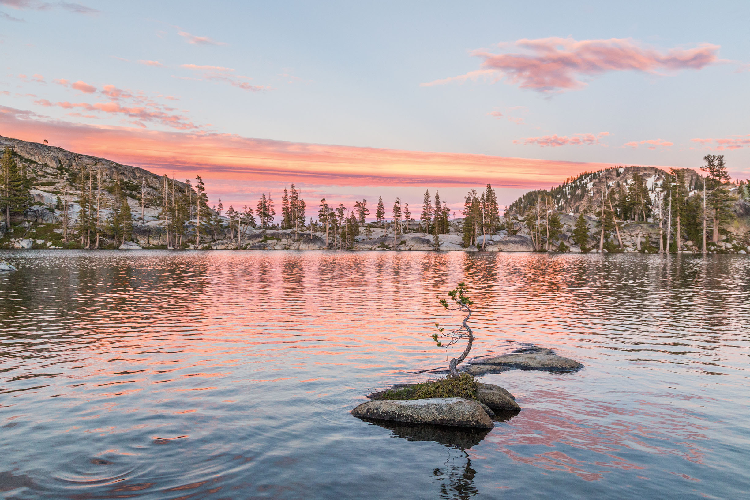 Hiking the PCT NoCal Img