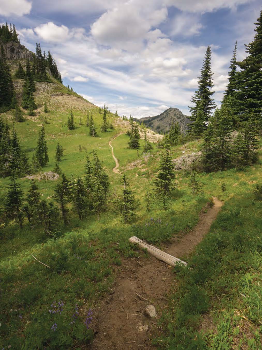 Hiking the PCT WA_Page_003.jpg