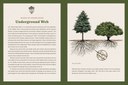 KTT_Pages_Spreads-2.jpg