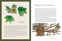 KTT_Pages_Spreads-3.jpg