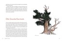KTT_Pages_Spreads-4.jpg