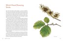 KTT_Pages_Spreads-5.jpg