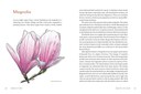 KTT_Pages_Spreads-6.jpg