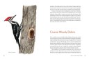 KTT_Pages_Spreads-7.jpg