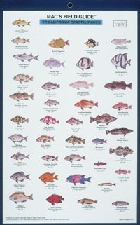 Mac's Field Guides: California Coastal Fish
