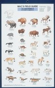 Mac's Field Guides: North American Land Mammals