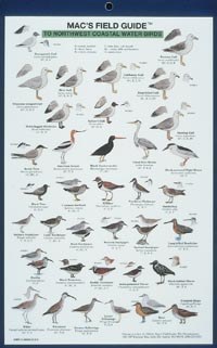Mac's Field Guides: Northwest Coastal Water Birds