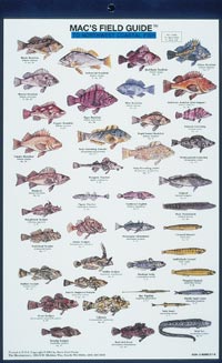 Mac's Field Guides: Northwest Coastal Fish — Books