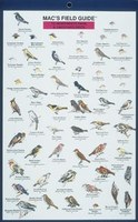 Mac's Field Guides: Northwest Park & Backyard Birds