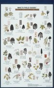 Mac's Field Guides: Northwest Trees