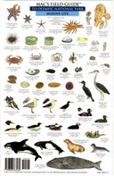 Mac's Field Guides: Olympic National Park