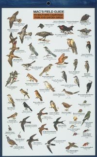 Mac's Field Guides: Southern California Park & Garden Birds