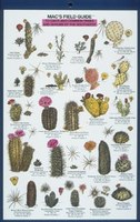 Mac's Field Guides: Southwest Cacti, Shrubs, Trees