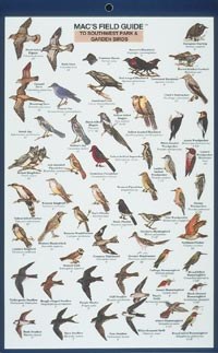 Mac's Field Guides: Southwest Park/Garden Birds