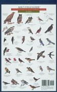 Mac's Field Guides: Yosemite Birds & Mammals