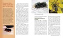 MasonBees2E_Spreads-1.jpg