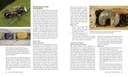 MasonBees2E_Spreads-3.jpg
