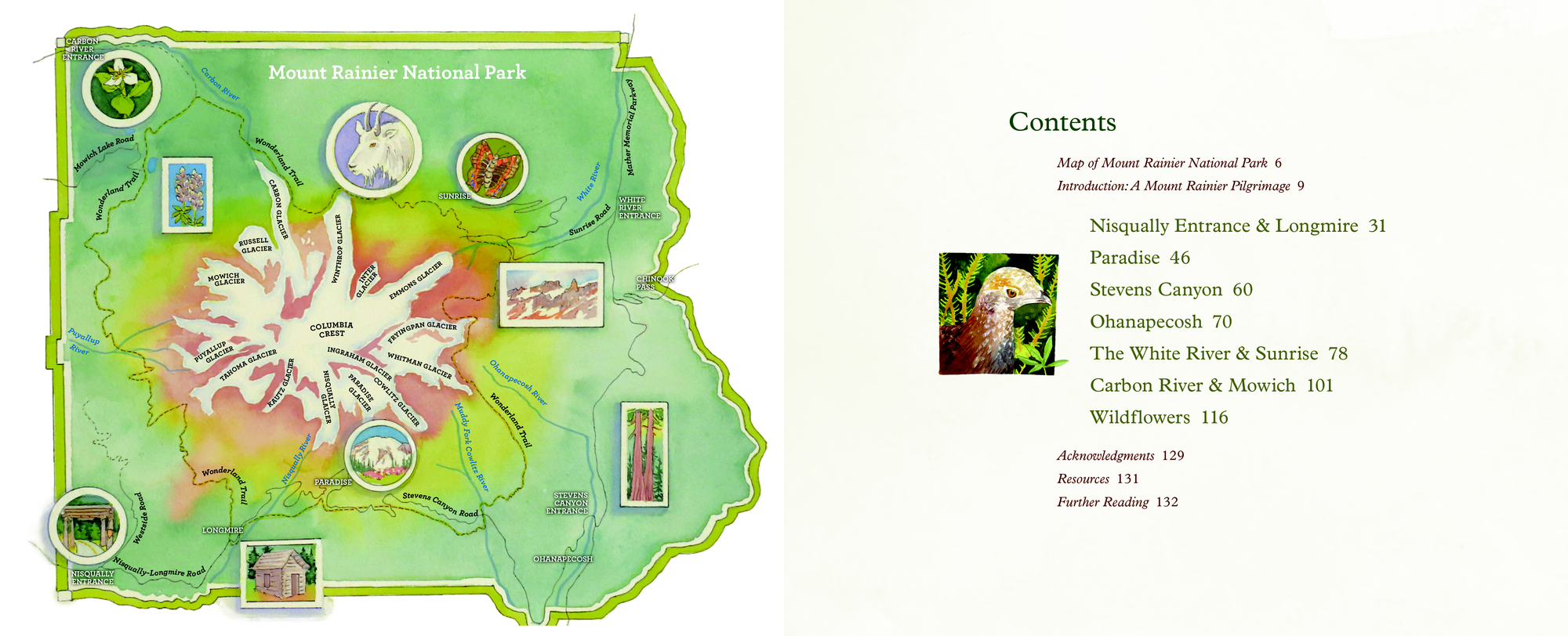 MRNP marketing spreads-1.jpg