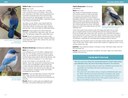 Birds 168-169.jpg