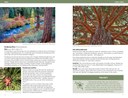 Trees 16-17.jpg
