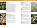 Wildflowers 110-111.jpg