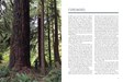 Sample spreads_OR Ancient Forests2 1.jpg