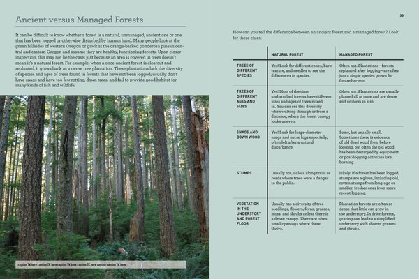 Sample spreads_OR Ancient Forests2 2.jpg
