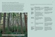 Sample spreads_OR Ancient Forests2 2.jpg