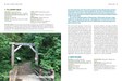 Sample spreads_OR Ancient Forests2 3.jpg