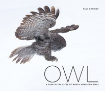 Owl: A Year in the Lives of North American Owls
