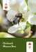 PollinatorDeck_Cards-1.jpg