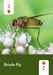 PollinatorDeck_Cards-3.jpg