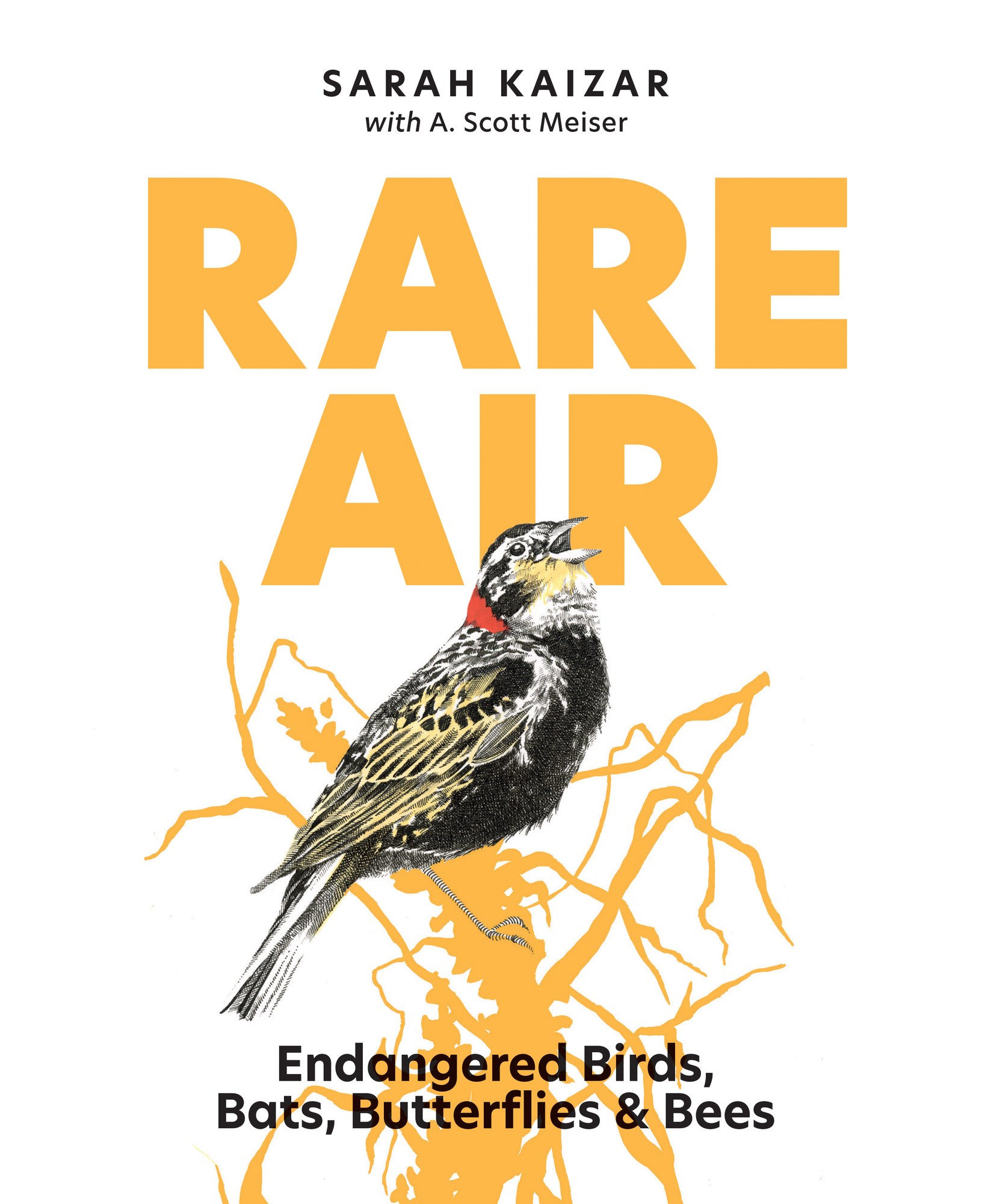 RareAir_Cover_Final_WEB.jpg