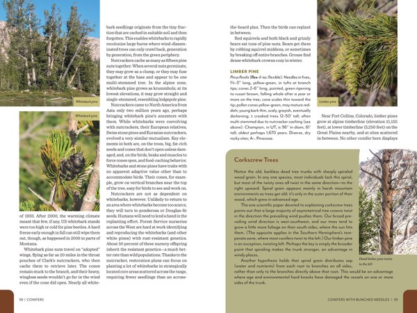 Pages from RMFG_Pages1_Spreads-2.jpg