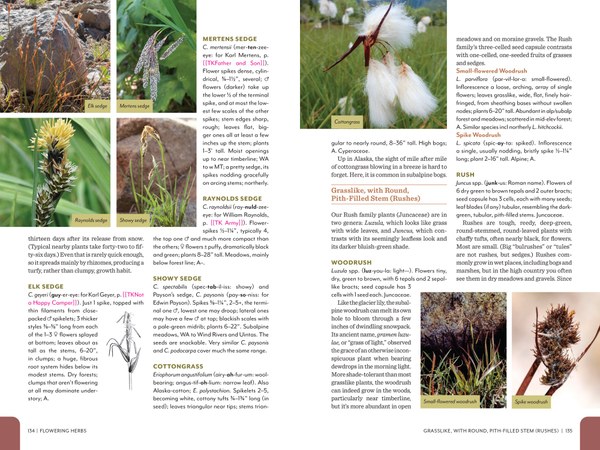 Pages from RMFG_Pages1_Spreads-3.jpg