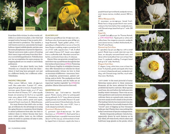 Pages from RMFG_Pages1_Spreads-4.jpg