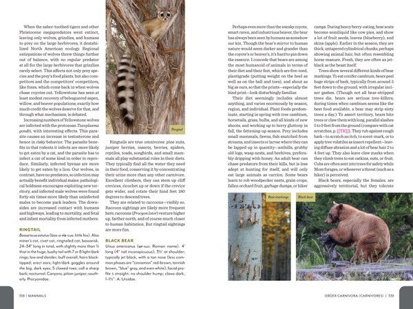 Pages from RMFG_Pages1_Spreads-7.jpg