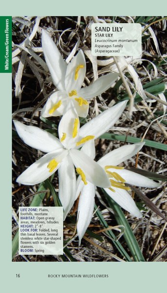 Rocky Mtn Wildflowers 2ed_Pages_Printer_112125_Page_016.jpg