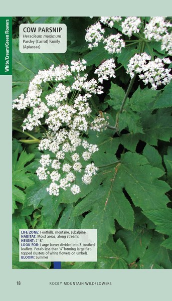 Rocky Mtn Wildflowers 2ed_Pages_Printer_112125_Page_018.jpg
