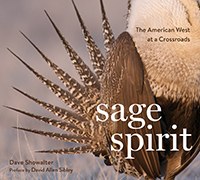 Sage Spirit: The American West at a Crossroads