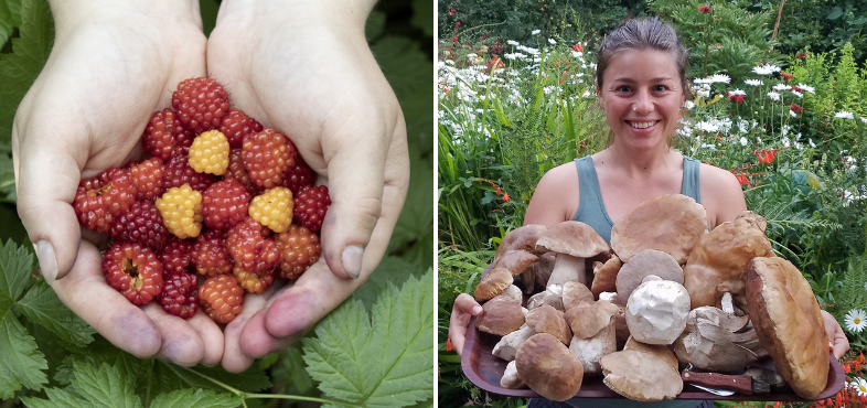 Foraging Books for the West Coast