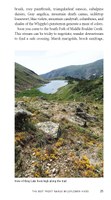 BFRWildflowerHikes_Pages_Reprint_Page_025.jpg