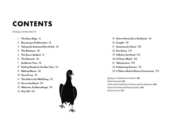 BirdFlamingFeet_Pages3_Contents.jpg