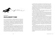 BirdFlamingFeet_Pages3_textspreads_Page_2.jpg