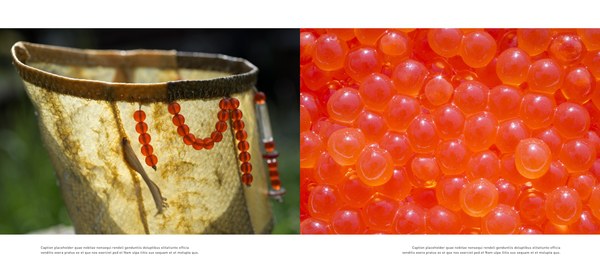 TheSalmonWay_Page_Samples 4.jpg