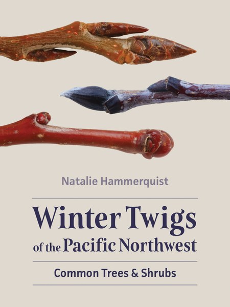 Winter Twigs of the Pacific Northwest: Common Trees & Shrubs