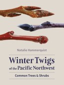 Winter Twigs of the Pacific Northwest: Common Trees & Shrubs